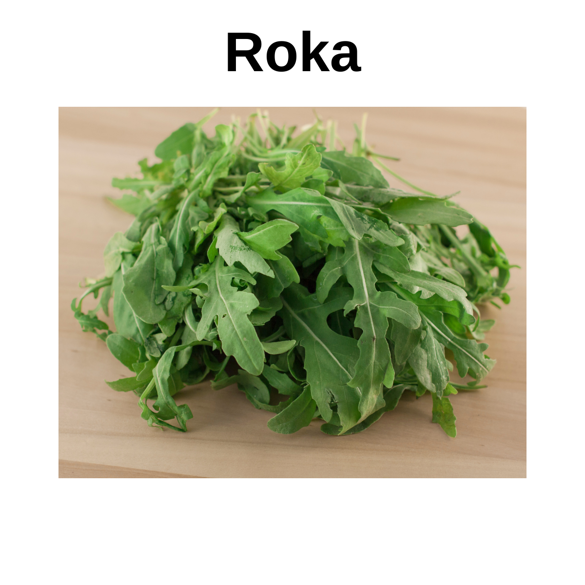 Roka